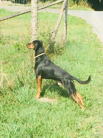 Lieblings Schnappschuss?-Beitrag-Bild