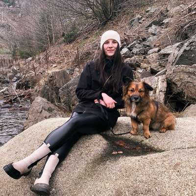 Hundetreffen-Gemeinsam Gassi gehen - egal ob kontrolliert oder auch mit Spieleinheit-Bild