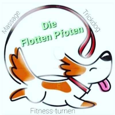 Hundeschulen-Die Flotten Pfoten-Bild