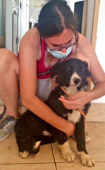 an linker seite,bei fuß gehen-Beitrag-Bild