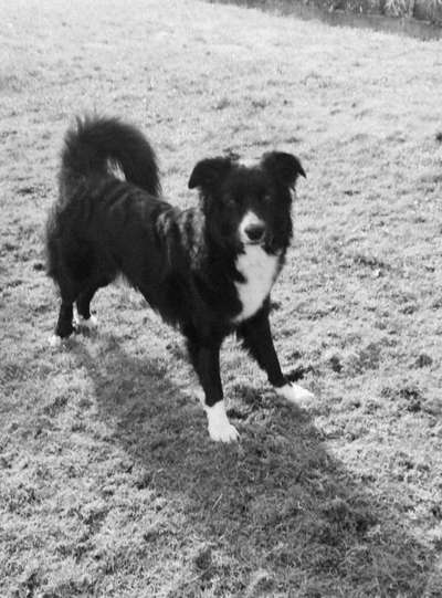 Foto-Challenge 76: Foto in Schwarz-Weiss-Beitrag-Bild