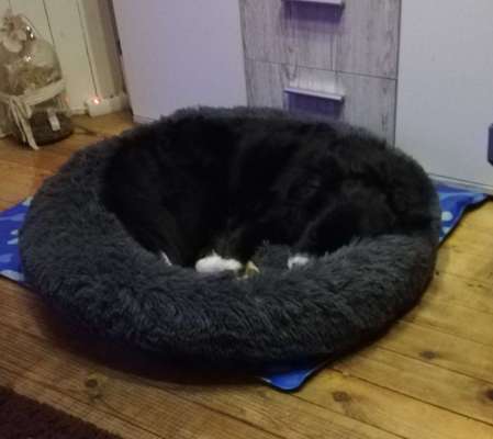 Erfahrung mit Wolkenbett-Beitrag-Bild