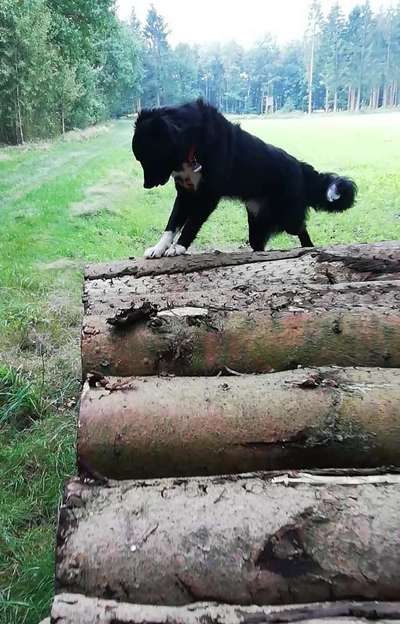 Foto Challenge Nr. 79-Beitrag-Bild