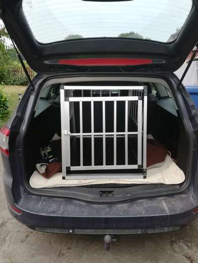 Transport  im Auto-Beitrag-Bild