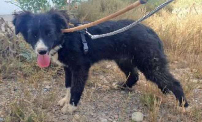 an linker seite,bei fuß gehen-Beitrag-Bild