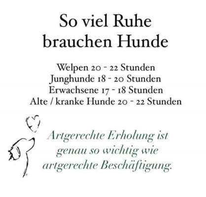 Schlechtes Gewissen?-Beitrag-Bild