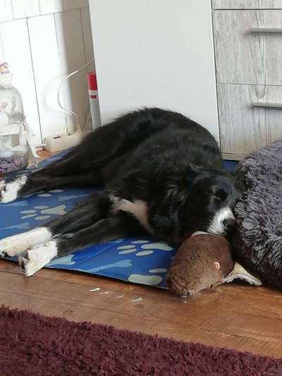 Kühlmatte-Beitrag-Bild