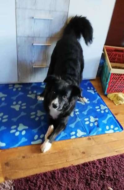 Trick Challenge Nr. 8-Beitrag-Bild