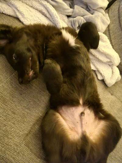 Fotochallenge Nr.65-Beitrag-Bild