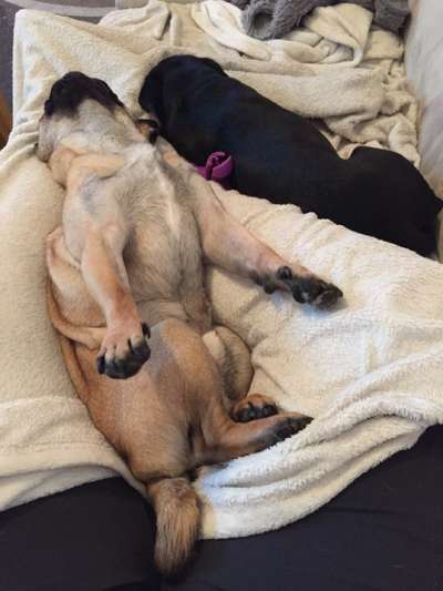 Fotochallenge Nr.65-Beitrag-Bild