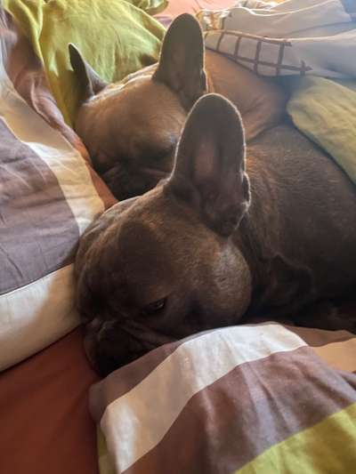 Gemeinsames Kuscheln im Bett!-Beitrag-Bild