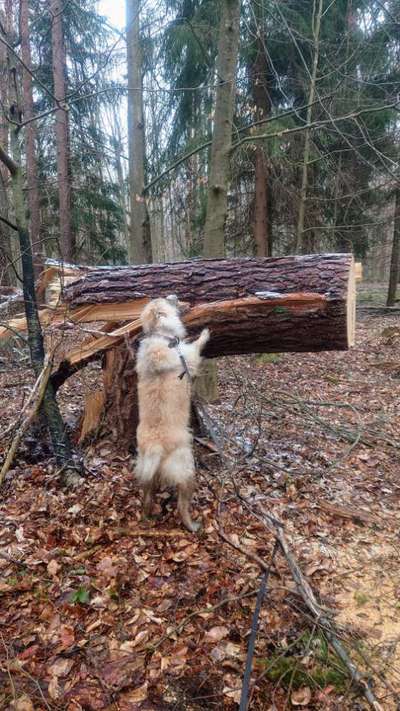 Foto Challenge Nr. 79-Beitrag-Bild