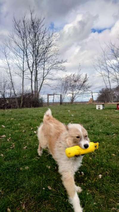 Dummy Training-Beitrag-Bild