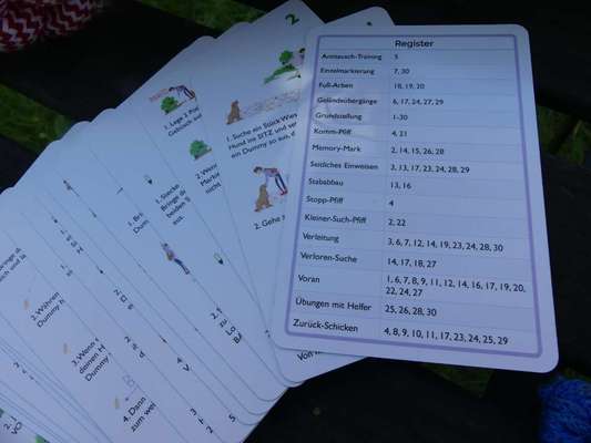 Dummy Training-Beitrag-Bild