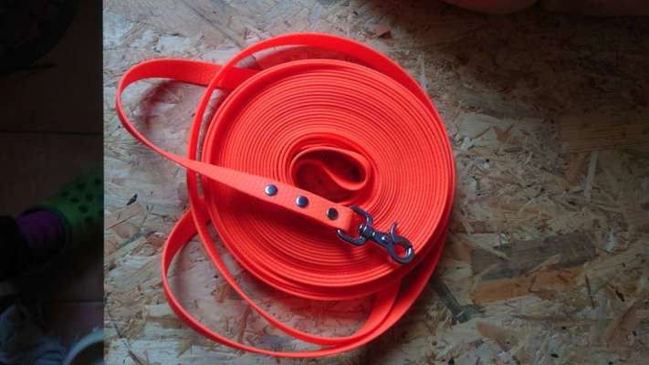 Biothane Schleppleine Pro & Contra-Beitrag-Bild