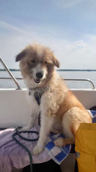 Doppelgänger gesucht !-Beitrag-Bild