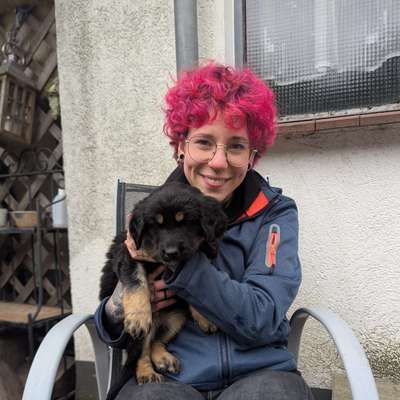 Hundetreffen-Welpentreffen nach Absprache