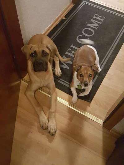 Zeigt mir eure Lieblingsfotos ♡♡-Beitrag-Bild