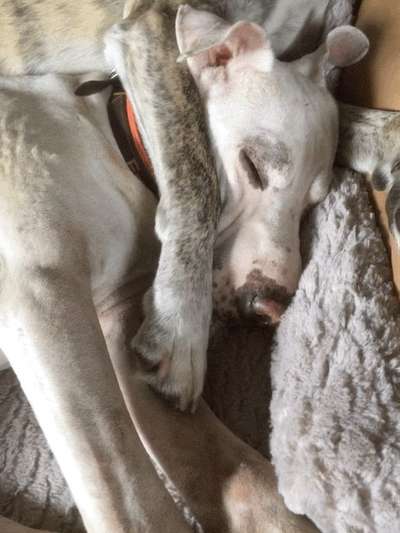 14. Farbenfoto-Challenge "Weiss"-Beitrag-Bild