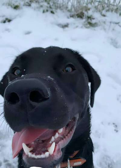 Fotochallange Nr. 57     PORTRÄT.   Beendet!!!!!!!!-Beitrag-Bild