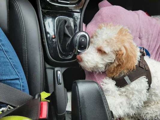 CHALLENGE NR. 18 - ON TOUR-Beitrag-Bild