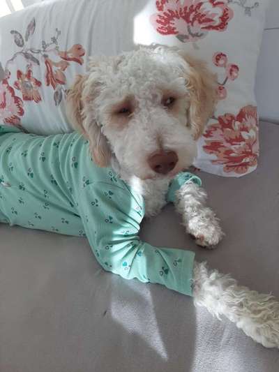 Pullis, Jacken, Hütte und alles sonstiges-Beitrag-Bild