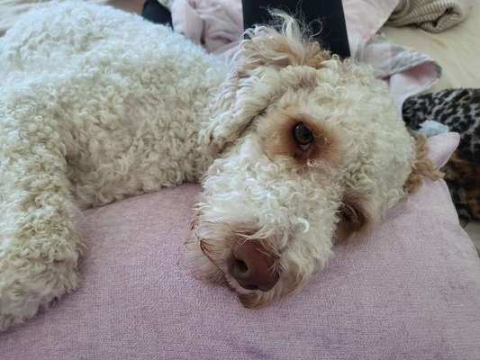 Verzicht oder doch Gewinn?-Beitrag-Bild