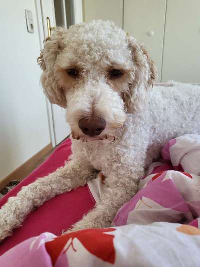 Ist das ein...?-Beitrag-Bild