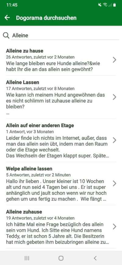 Welpe alleine lassen-Beitrag-Bild