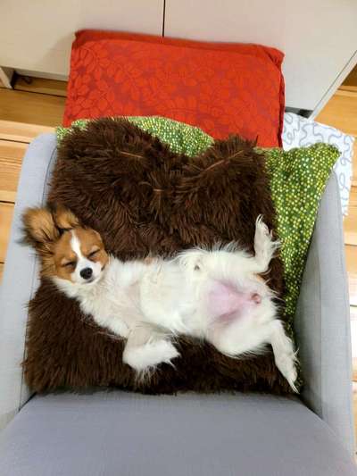 Die unbequemsten und lustigsten Schlafpositionen-Beitrag-Bild