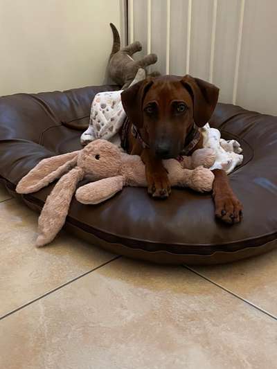 Lieblingsbild-Beitrag-Bild