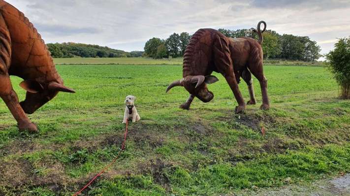 82. Foto Challenge: Skulptur/ Denkmal-Beitrag-Bild