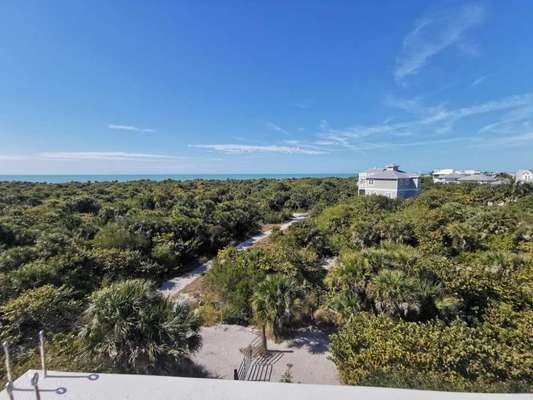 Langstreckenflug mit Hund-Beitrag-Bild