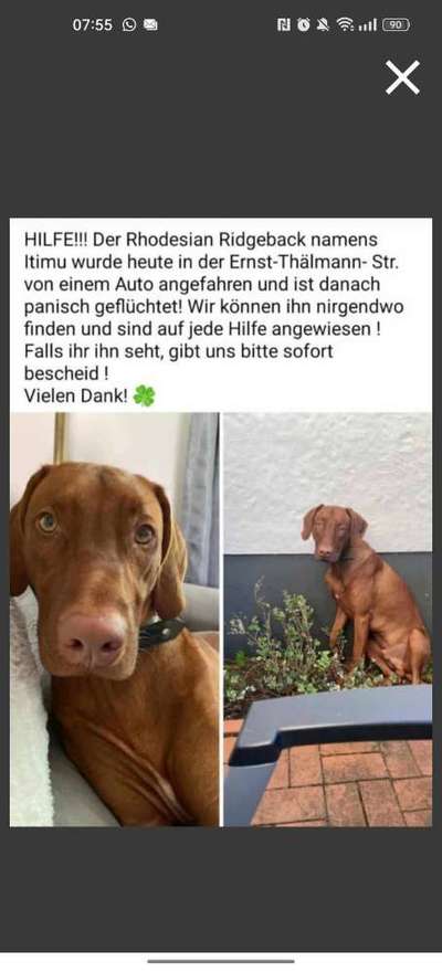 Suchmeldung-Itimu-Bild
