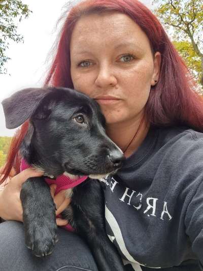 Hundetreffen-Gemeinsame Gassirunde-Bild