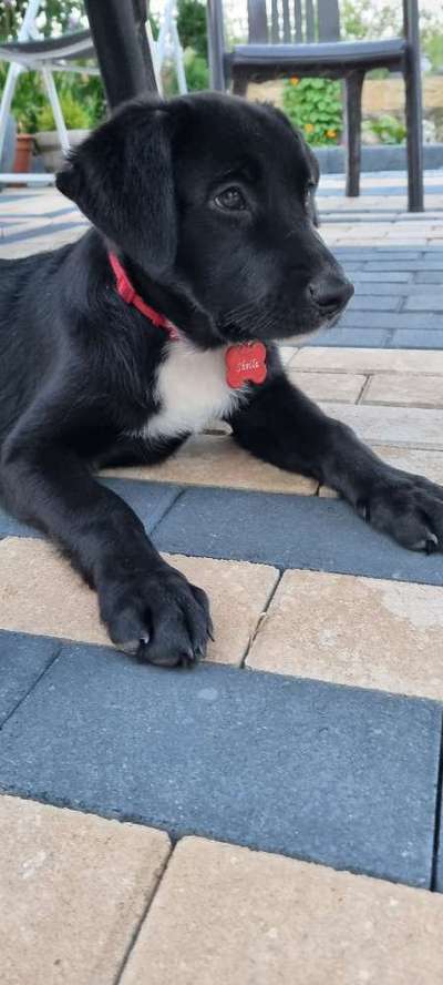 Fotochallange Nummer 5-Beitrag-Bild