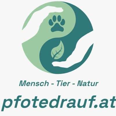 Hundeschulen-pfotedrauf.at-Bild