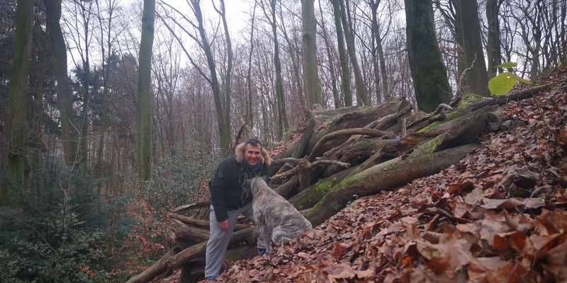 Hundetreffen-Wandern und spazieren-Bild