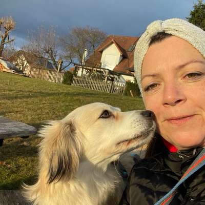 Hundetreffen-Spielpartner gesucht-Profilbild