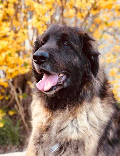 Handy-Foto-Challange Nr.9-Beitrag-Bild