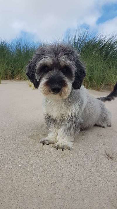 Fotochallange Nr. 57     PORTRÄT.   Beendet!!!!!!!!-Beitrag-Bild