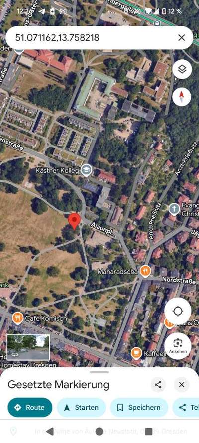 Giftköder-Eichenprozessionsspinner im Alaunpark-Bild
