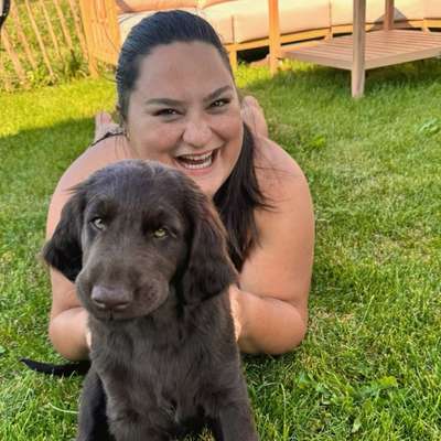Hundetreffen-Welpentreff - Soziale Kompetenzen fördern-Bild