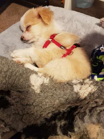 Zeigt mir eure Lieblingsfotos ♡♡-Beitrag-Bild