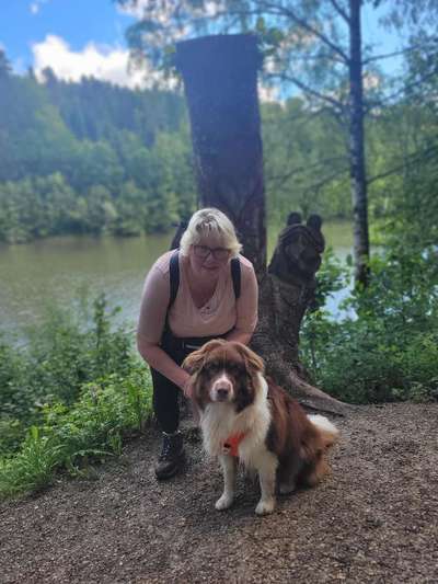 Hundetreffen-Junghunde teffen-Bild