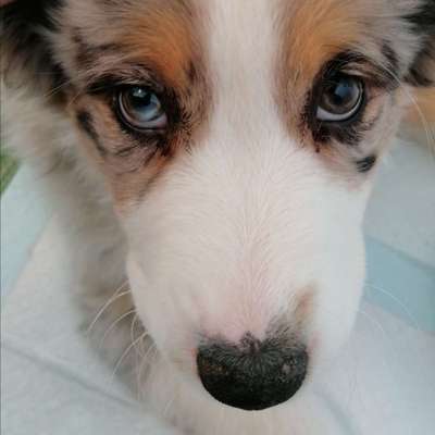 Blick fürs Detail!-Beitrag-Bild