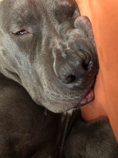 Die unbequemsten und lustigsten Schlafpositionen-Beitrag-Bild