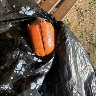 Giftköder-Giftköder - Eingeschnittene Fleischwurst-Bild