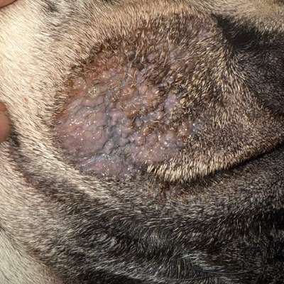 Was kann das sein?-Beitrag-Bild