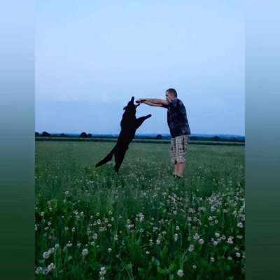 Die Dogorama Wochen Challenge-Beitrag-Bild